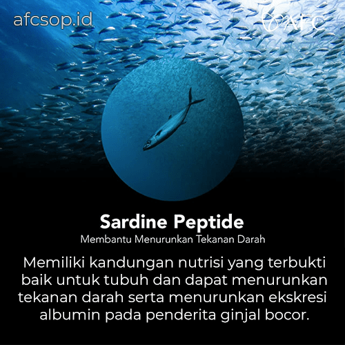 Kandungan Ikan Sardine